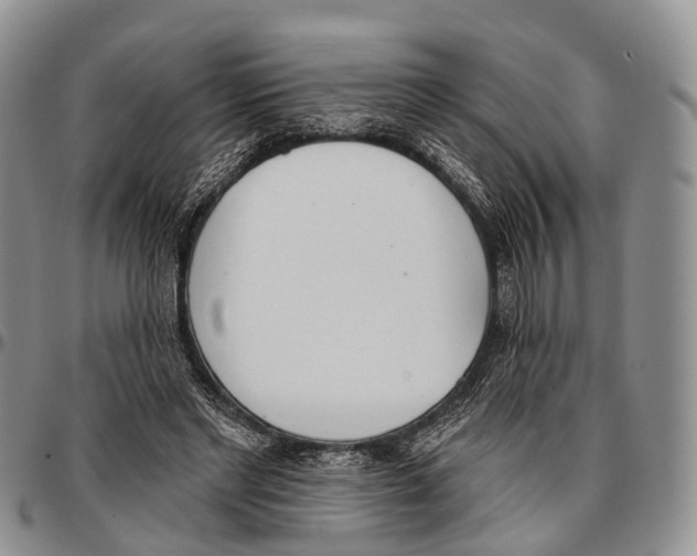 X0000096720493200803041404