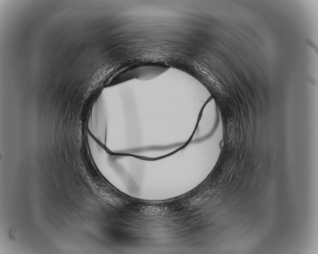 X0000096720494200803041404