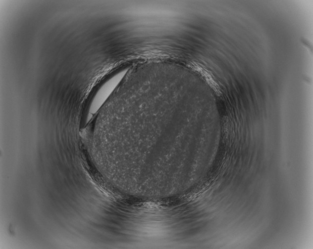 X0000096720496200803041404