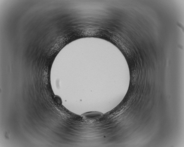 X0000096720497200803041404