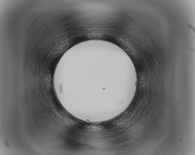 X0000096720498200803041404