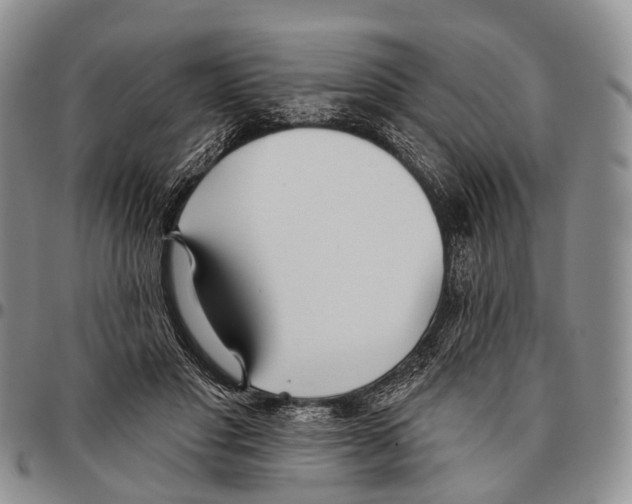 X0000096720501200803041404