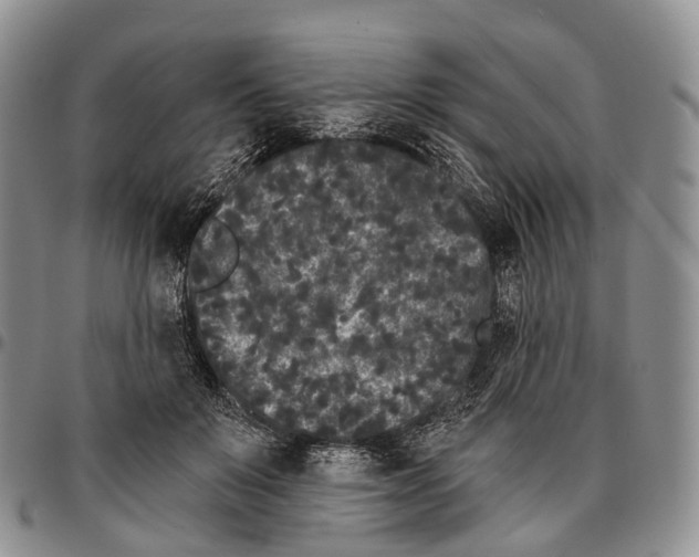 X0000096720503200803041404