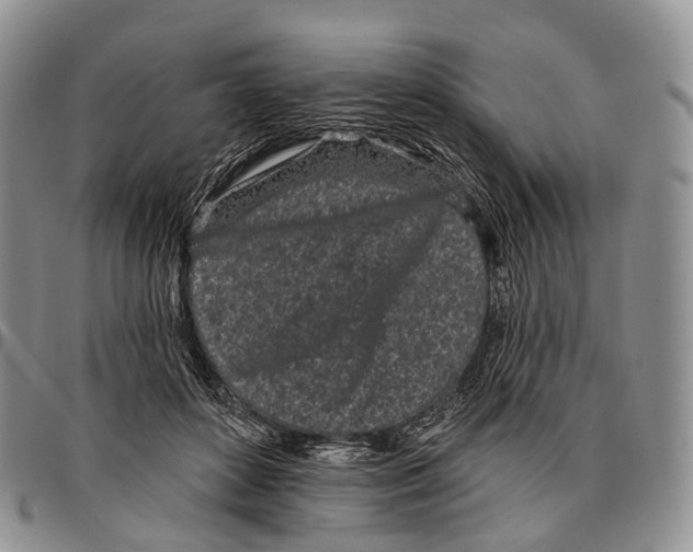 X0000096720504200803041404