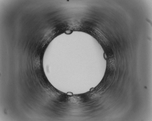 X0000096720508200803041404