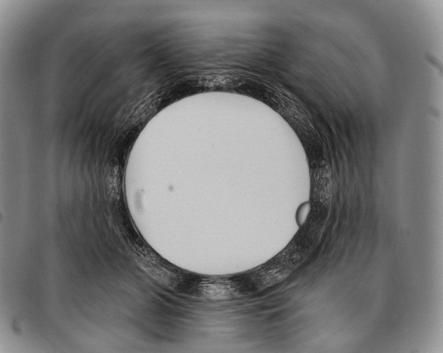 X0000096720510200803041404