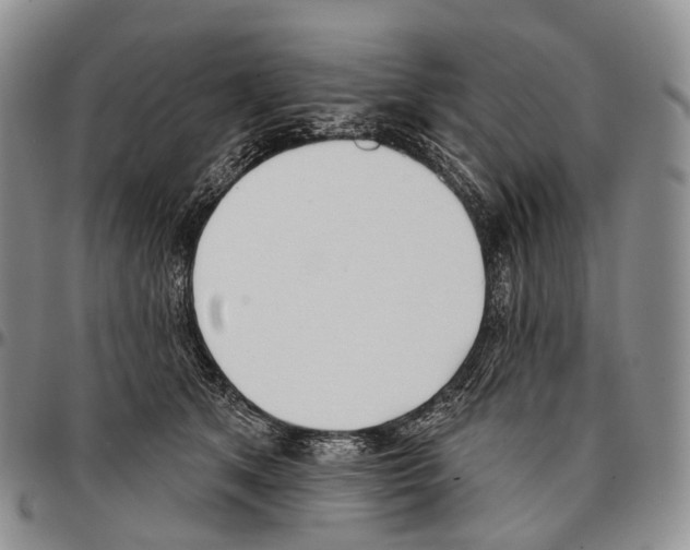 X0000096720513200803041404