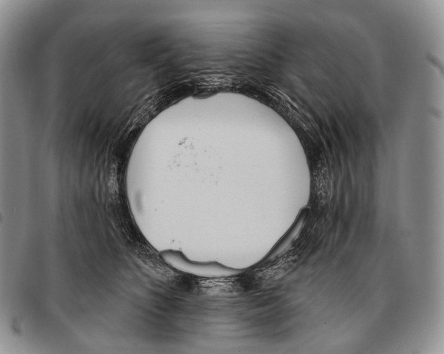 X0000096720516200803041404