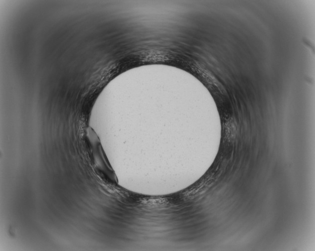 X0000096720517200803041404