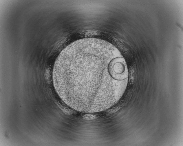 X0000096720519200803041404