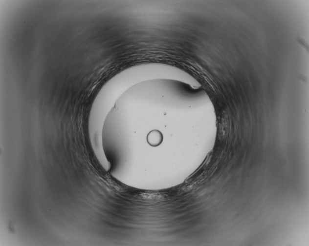 X0000096720520200803041404