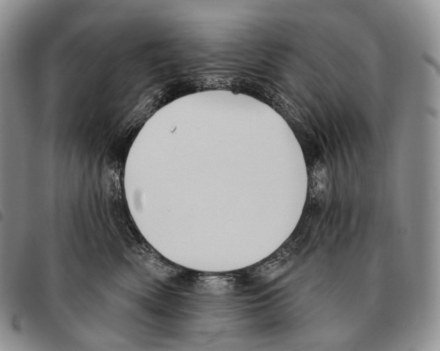 X0000096720522200803041404