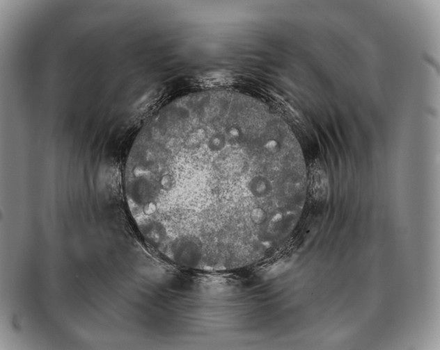 X0000096720523200803041404