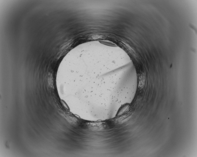 X0000096720524200803041404