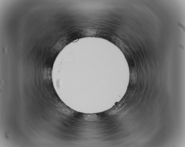 X0000096720525200803041404