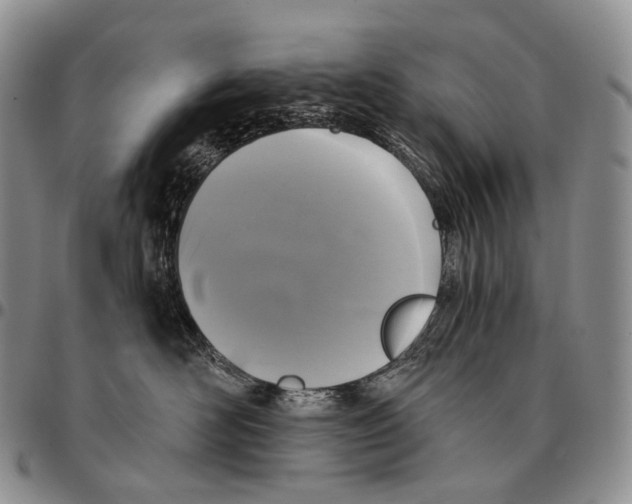 X0000096720526200803041404