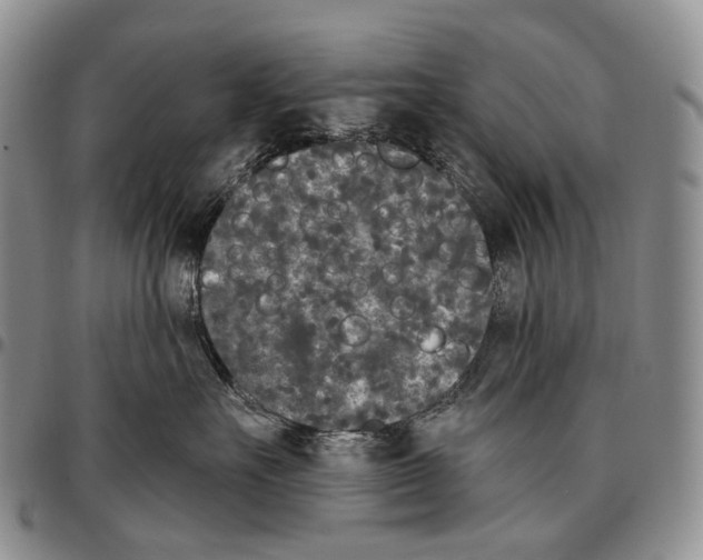 X0000096720527200803041404