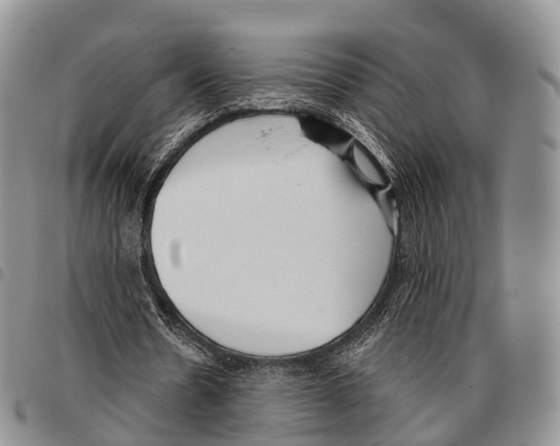 X0000096720530200803041403