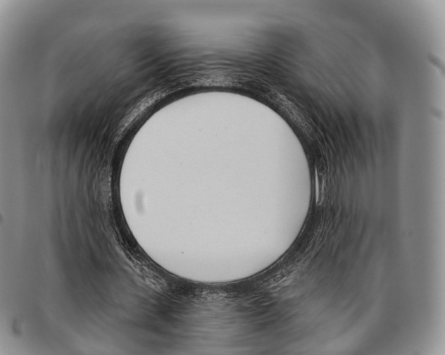 X0000096720531200803041403