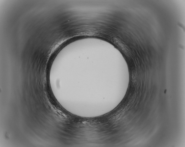 X0000096720532200803041403