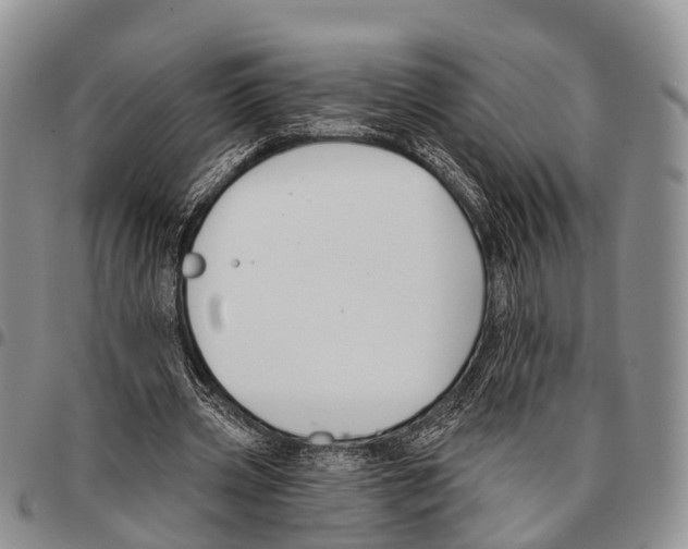 X0000096720533200803041403