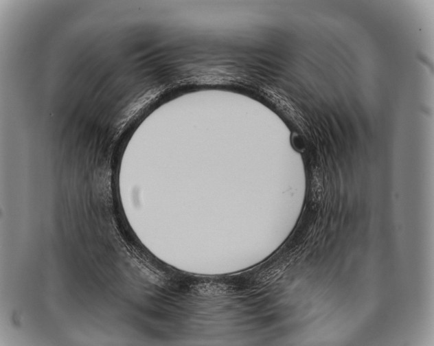 X0000096720535200803041403