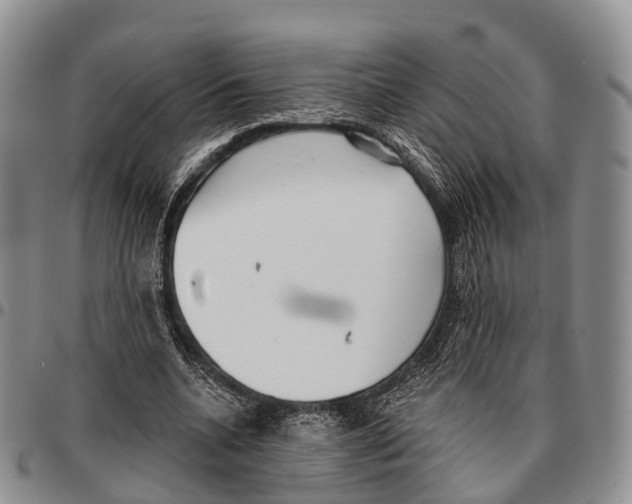 X0000096720536200803041403