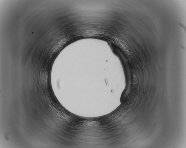 X0000096720539200803041404