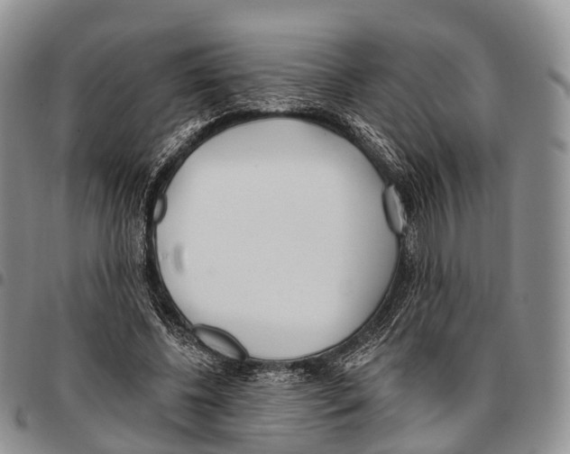 X0000096720540200803041404