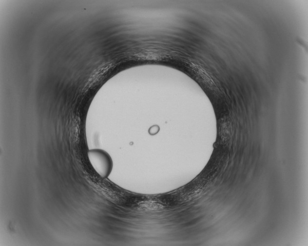 X0000096720544200803041404