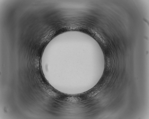 X0000096720545200803041404