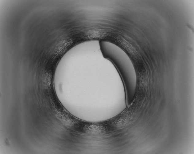 X0000096720546200803041404