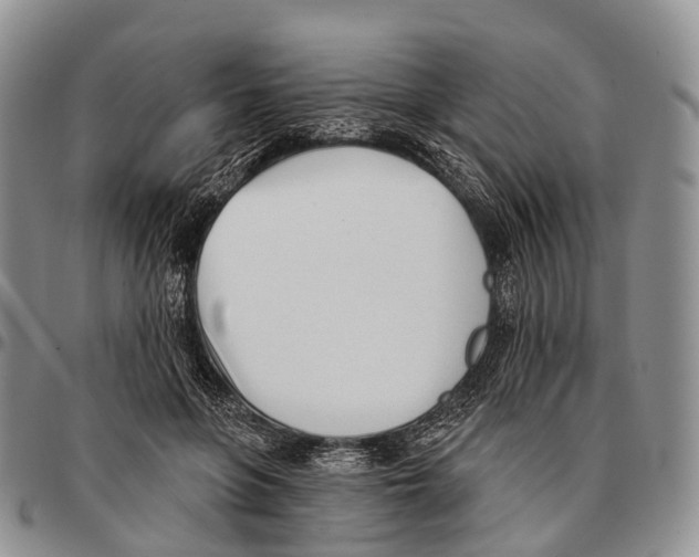 X0000096720551200803041404