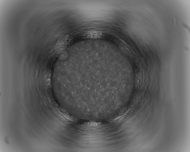 X0000096720553200803041404