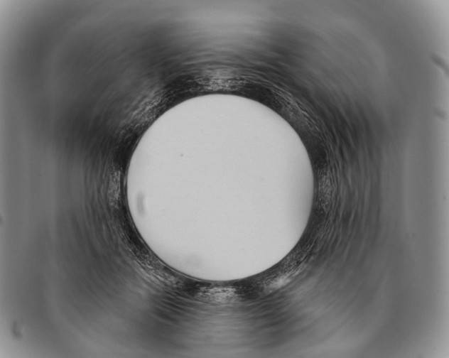 X0000096720554200803041404