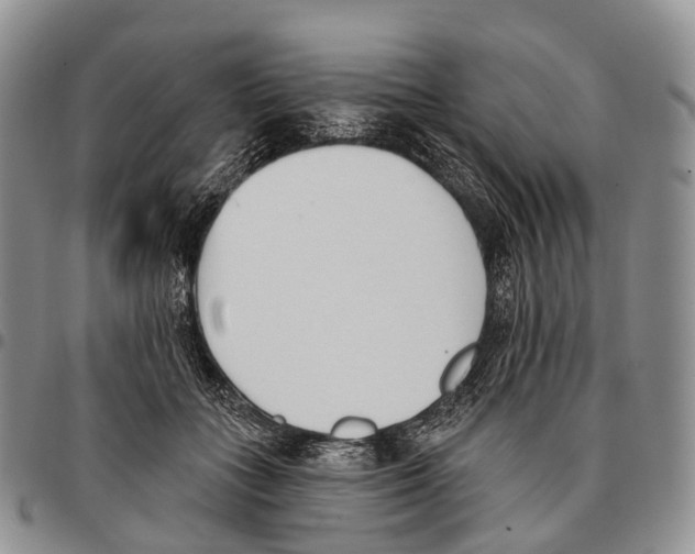 X0000096720555200803041404