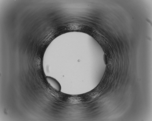 X0000096720556200803041404