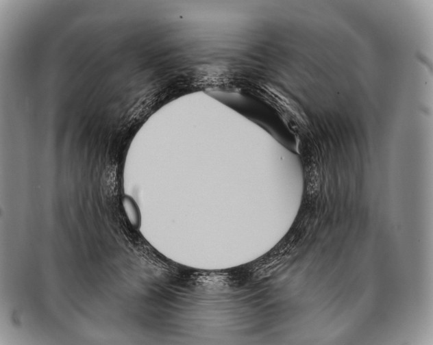 X0000096720560200803041404