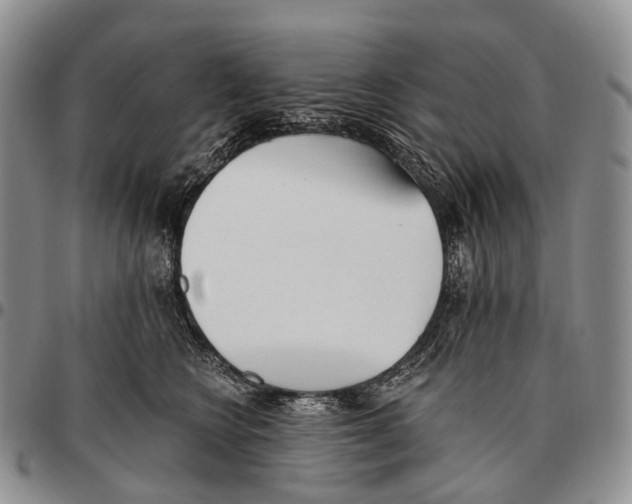 X0000096720566200803041404