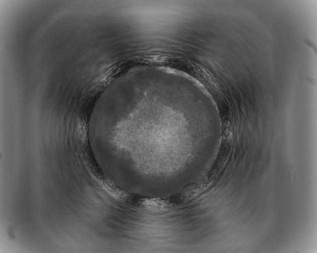 X0000096720568200803041404