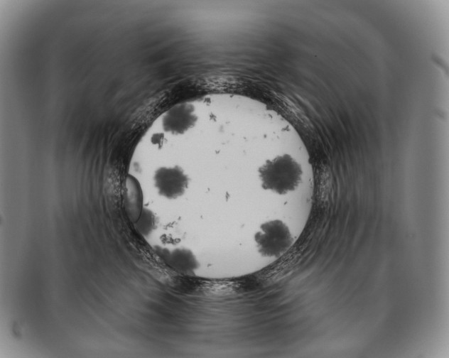 X0000096720569200803041404