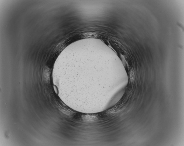 X0000096720570200803041404