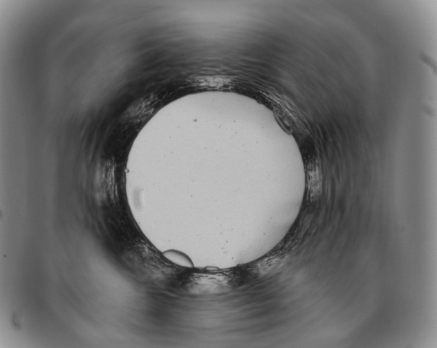 X0000096720572200803041404