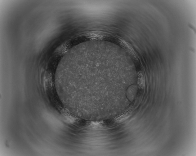 X0000096720573200803041404