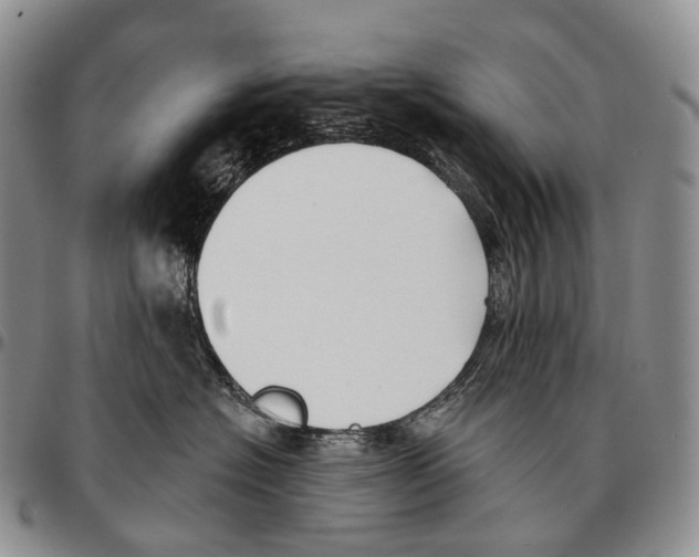 X0000096720574200803041404