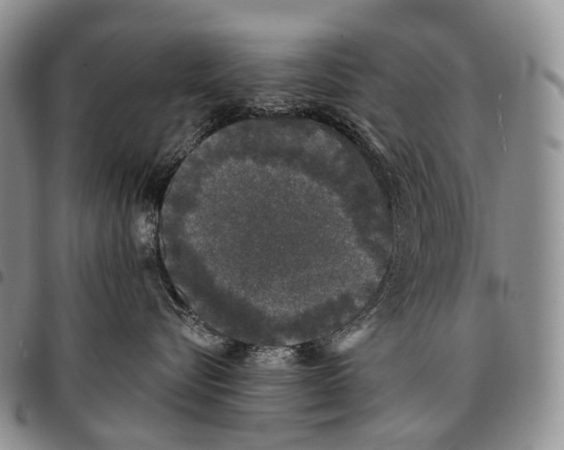 X0000096720576200803041404