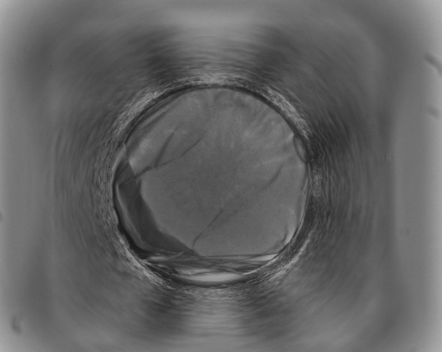 X0000096720577200803041403