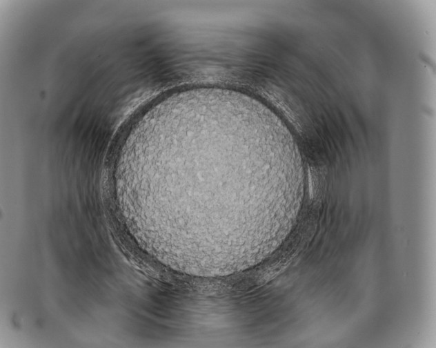 X0000096720579200803041403