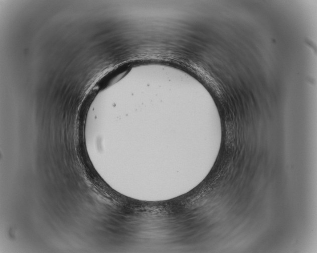 X0000096720580200803041403