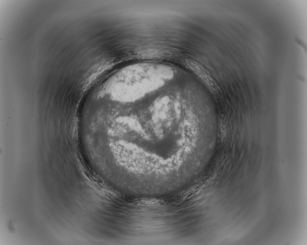 X0000096720583200803041403